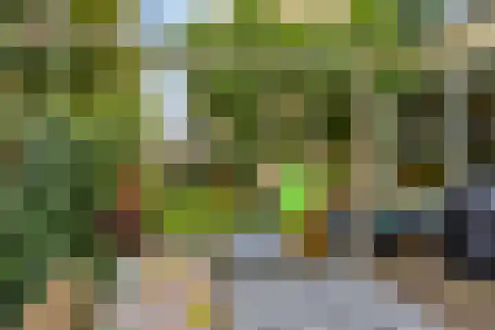 Reizigersweg 121 Amsterdam thumbnail 26