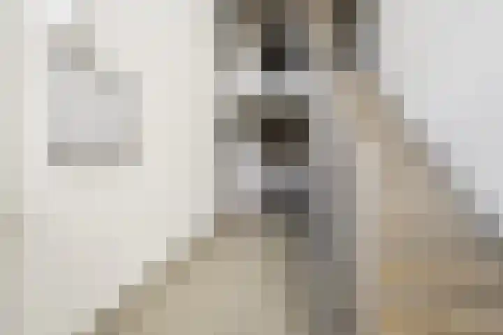 Reizigersweg 121 Amsterdam thumbnail 44