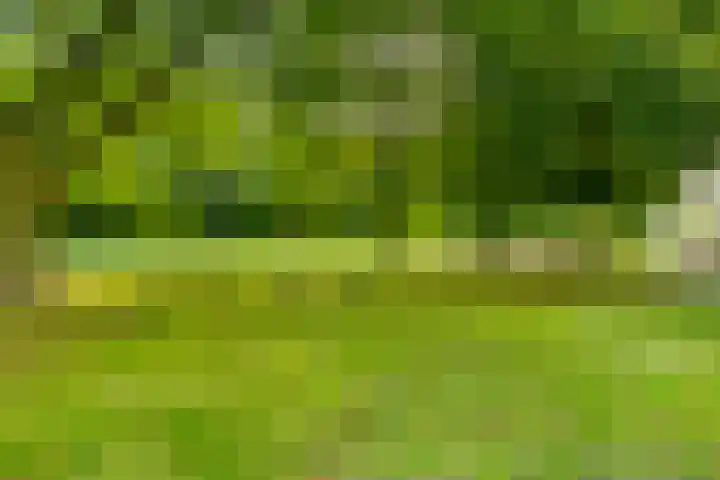 Reizigersweg 121 Amsterdam thumbnail 50