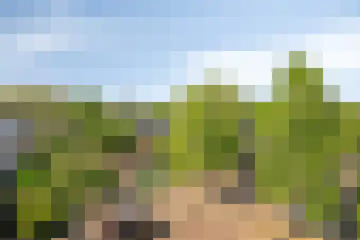 Reizigersweg 187 Amsterdam thumbnail 12