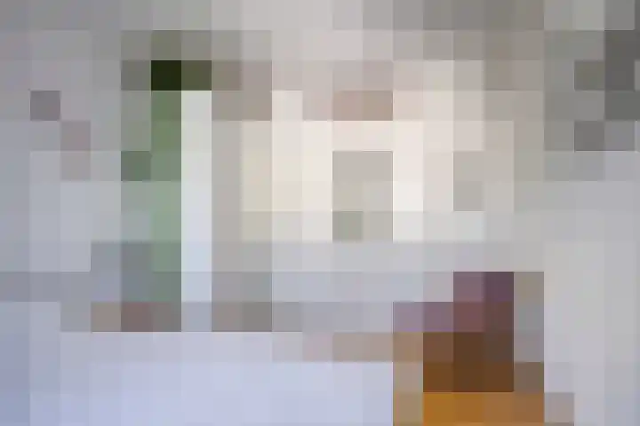 Reizigersweg 187 Amsterdam thumbnail 15
