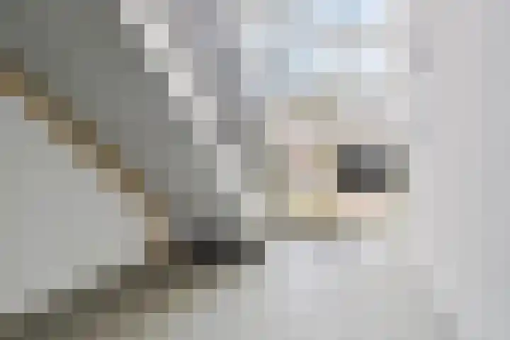 Reizigersweg 187 Amsterdam thumbnail 22