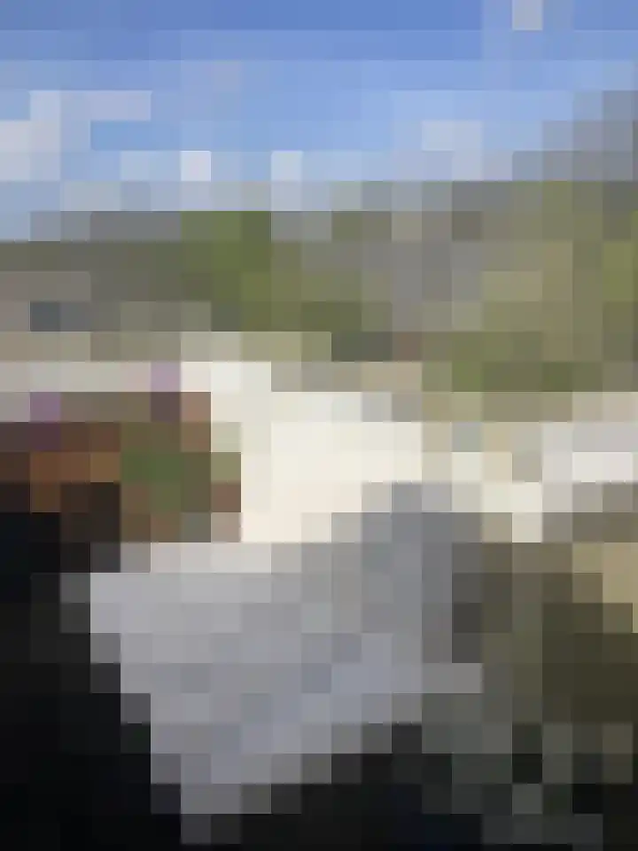 Reizigersweg 187 Amsterdam thumbnail 6