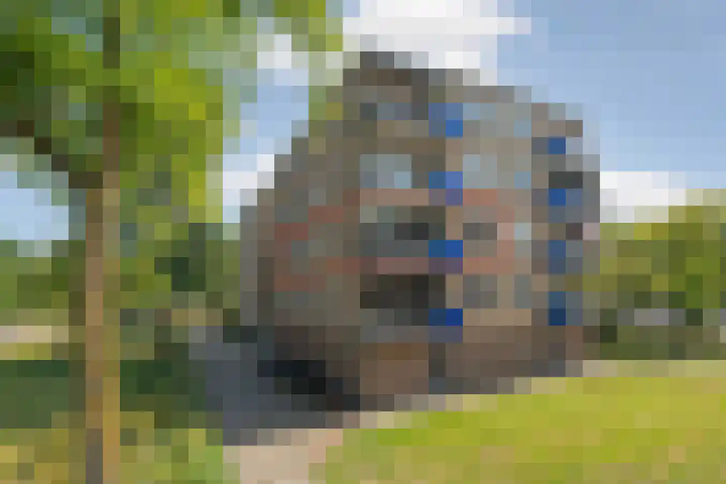 Reizigersweg 27 Amsterdam thumbnail 28