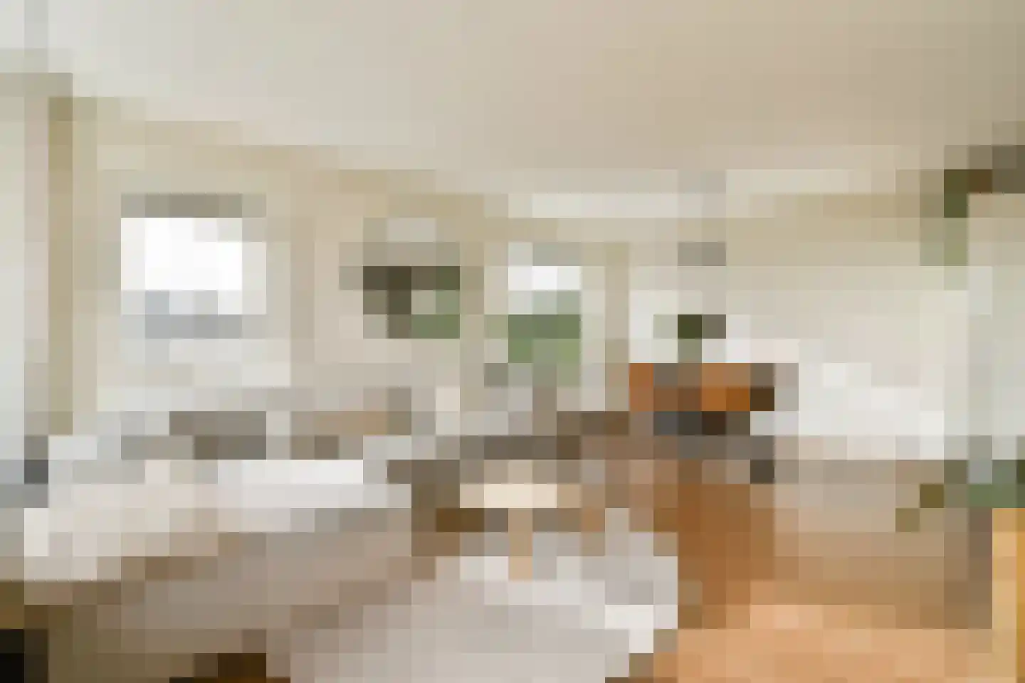 Reizigersweg 45 Amsterdam thumbnail 4