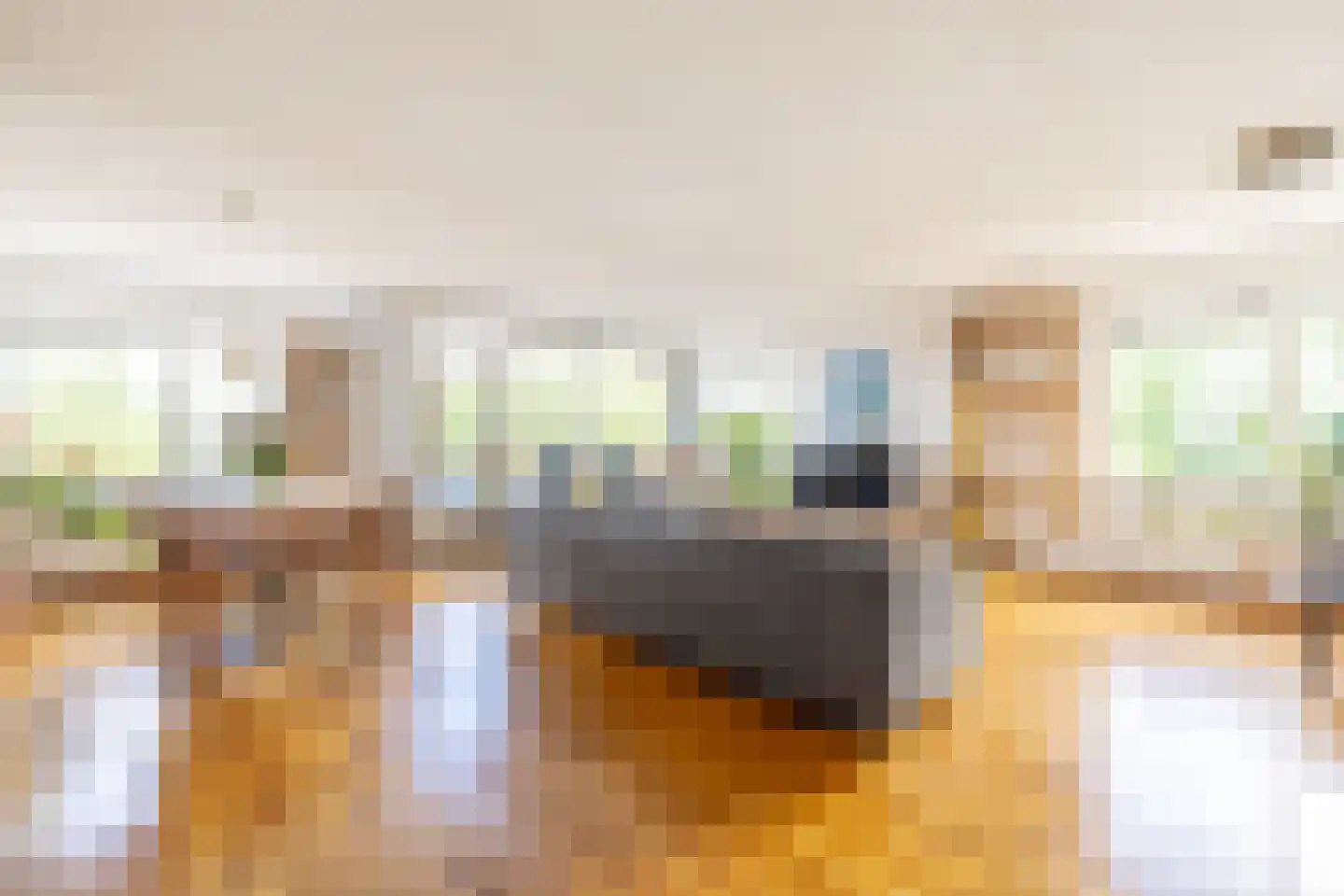Reizigersweg 49 Amsterdam thumbnail 21