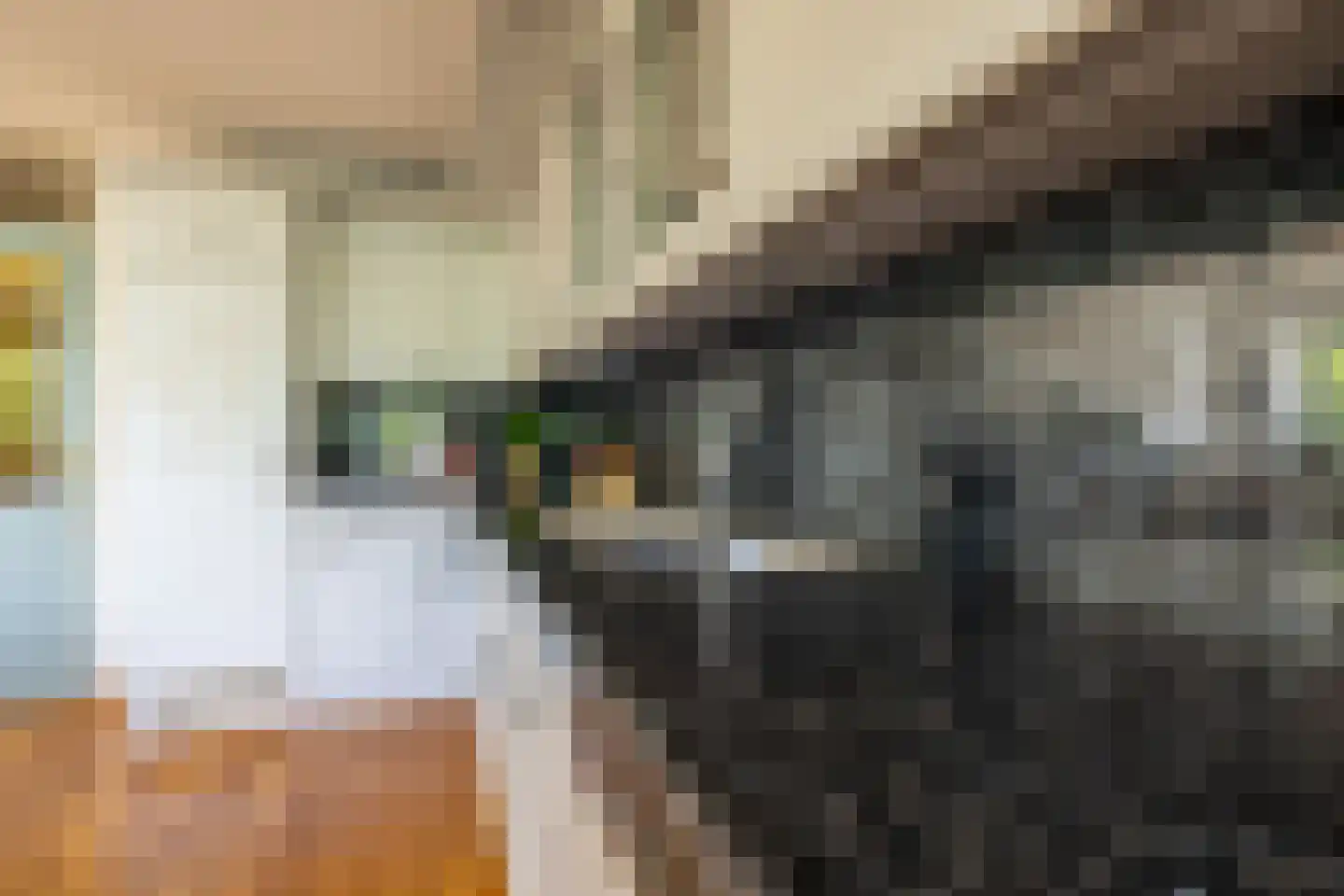 Reizigersweg 49 Amsterdam thumbnail 23