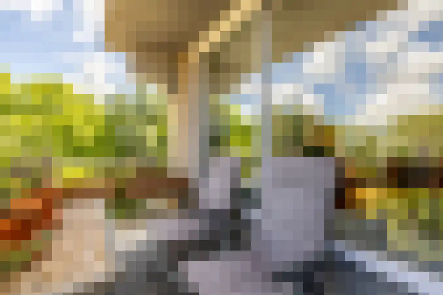 Reizigersweg 49 Amsterdam thumbnail 26