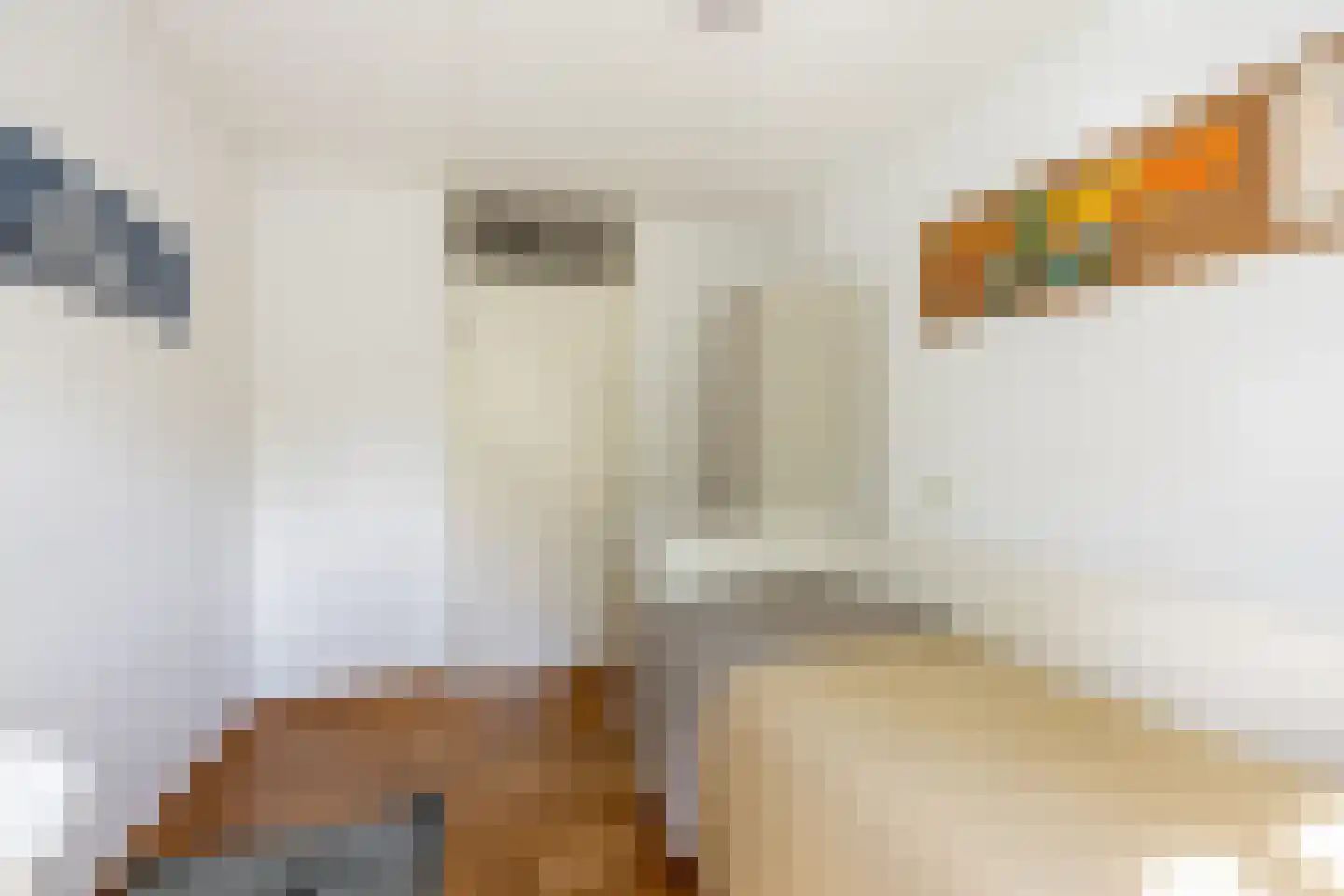 Reizigersweg 49 Amsterdam thumbnail 34