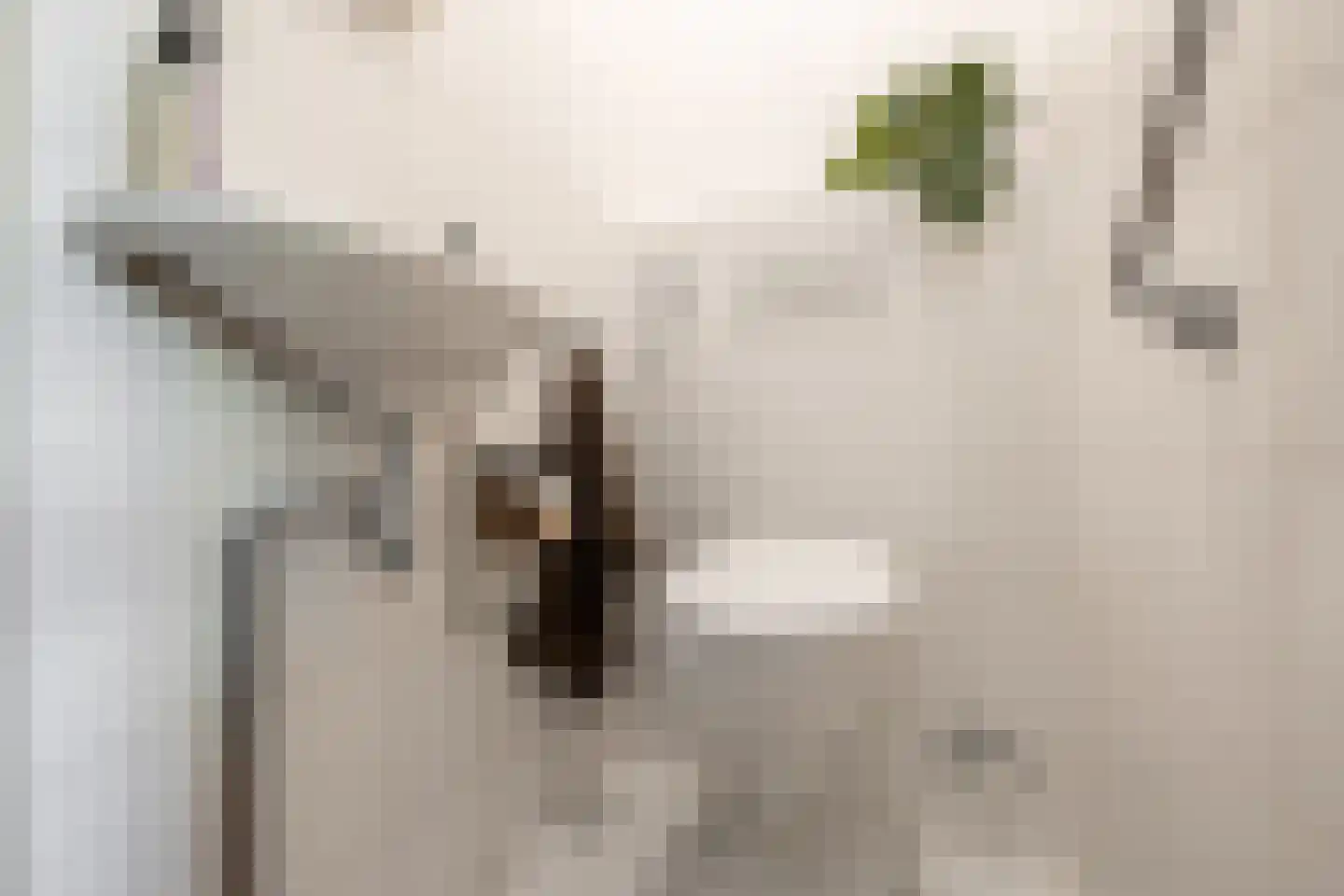 Reizigersweg 49 Amsterdam thumbnail 37