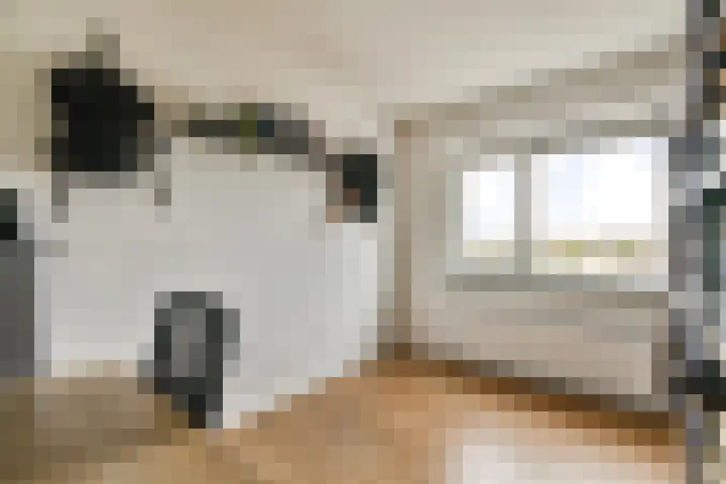Reizigersweg 53 Amsterdam thumbnail 14