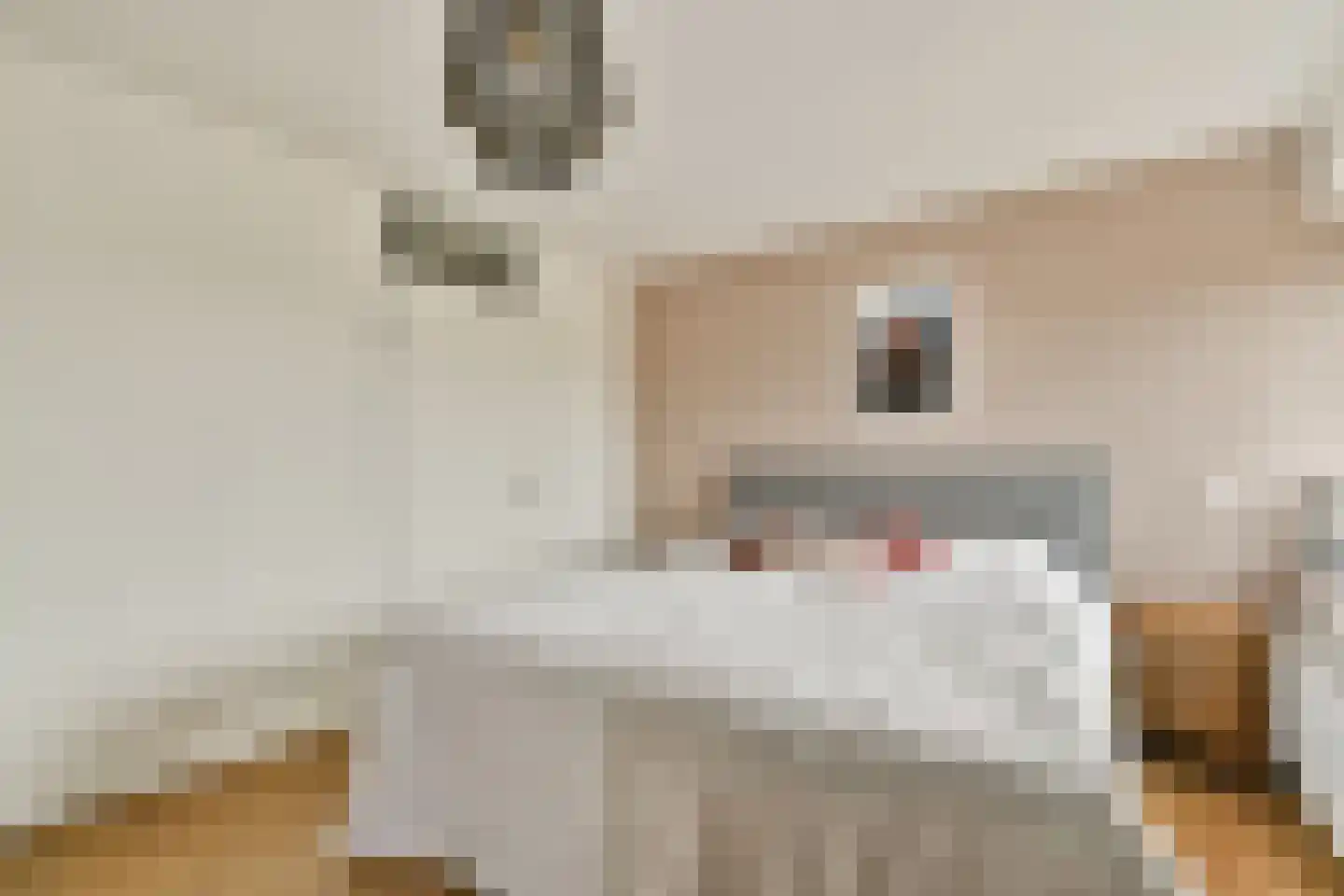 Reizigersweg 53 Amsterdam thumbnail 17