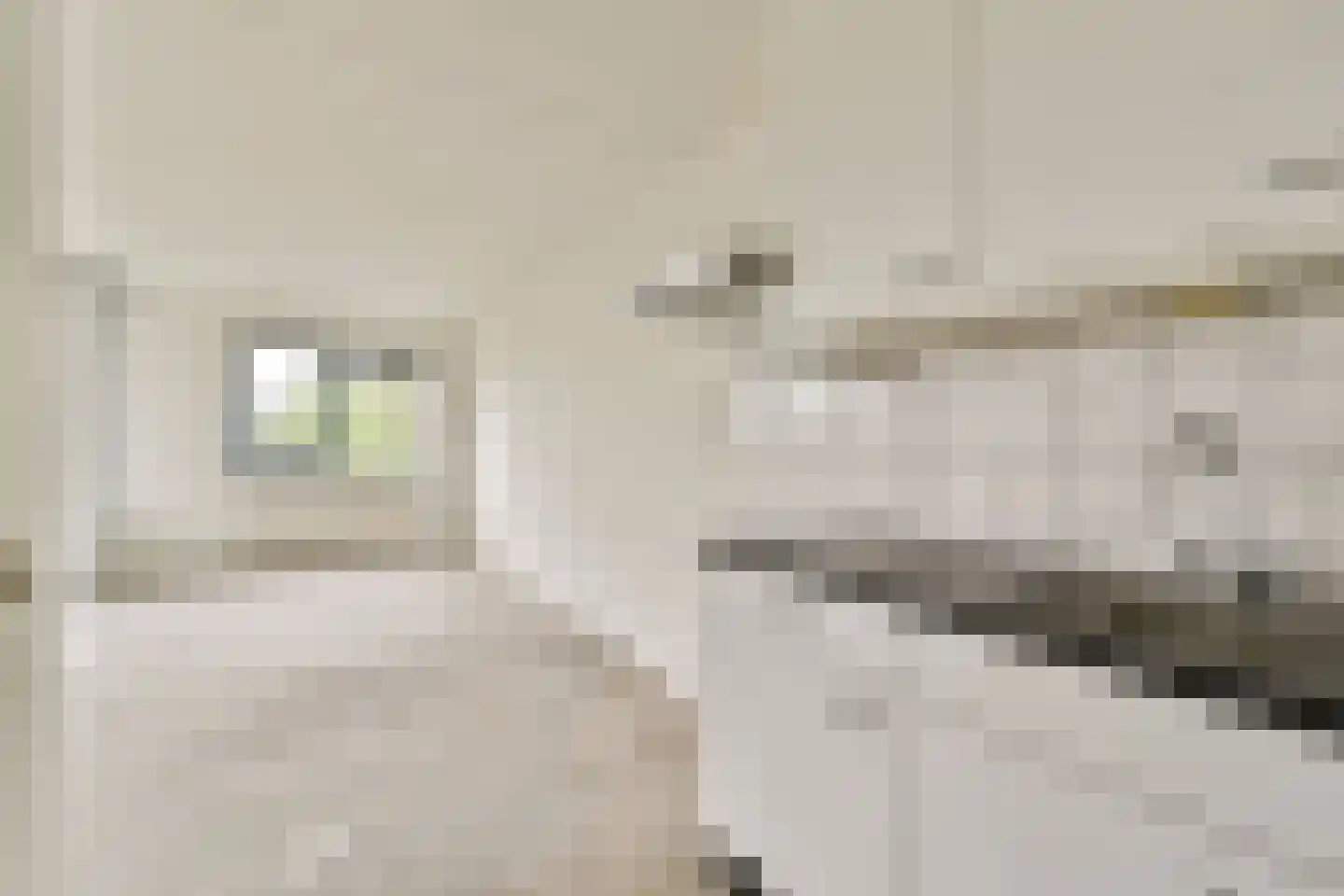 Reizigersweg 99 Amsterdam thumbnail 10