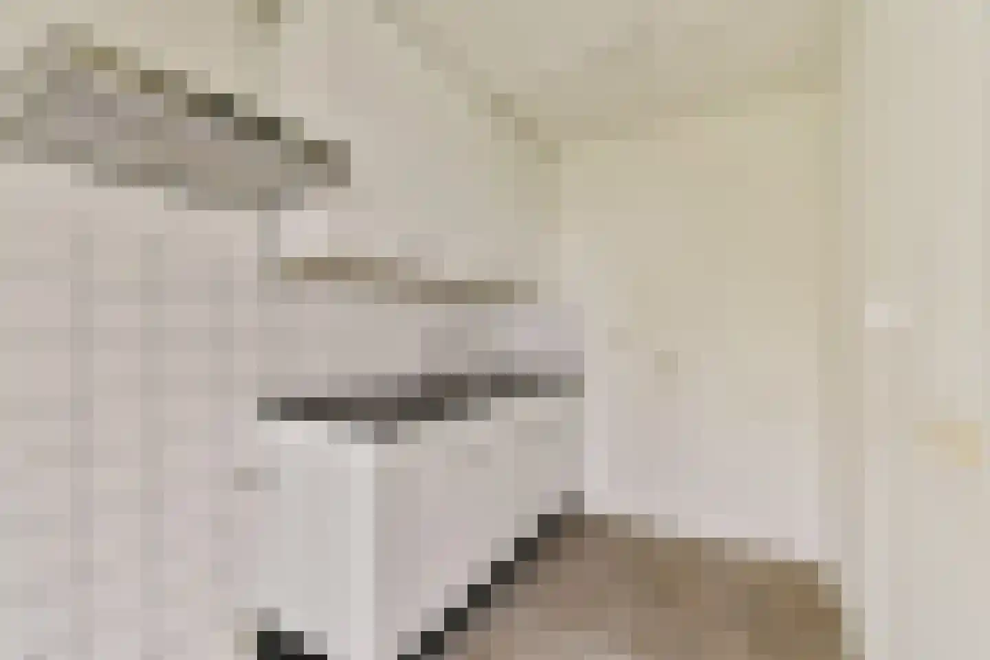 Reizigersweg 99 Amsterdam thumbnail 9
