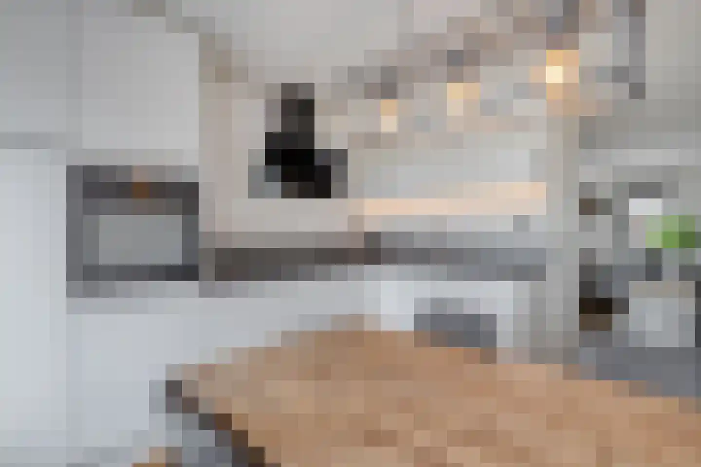 Rekemstraat 14 Maastricht thumbnail 11
