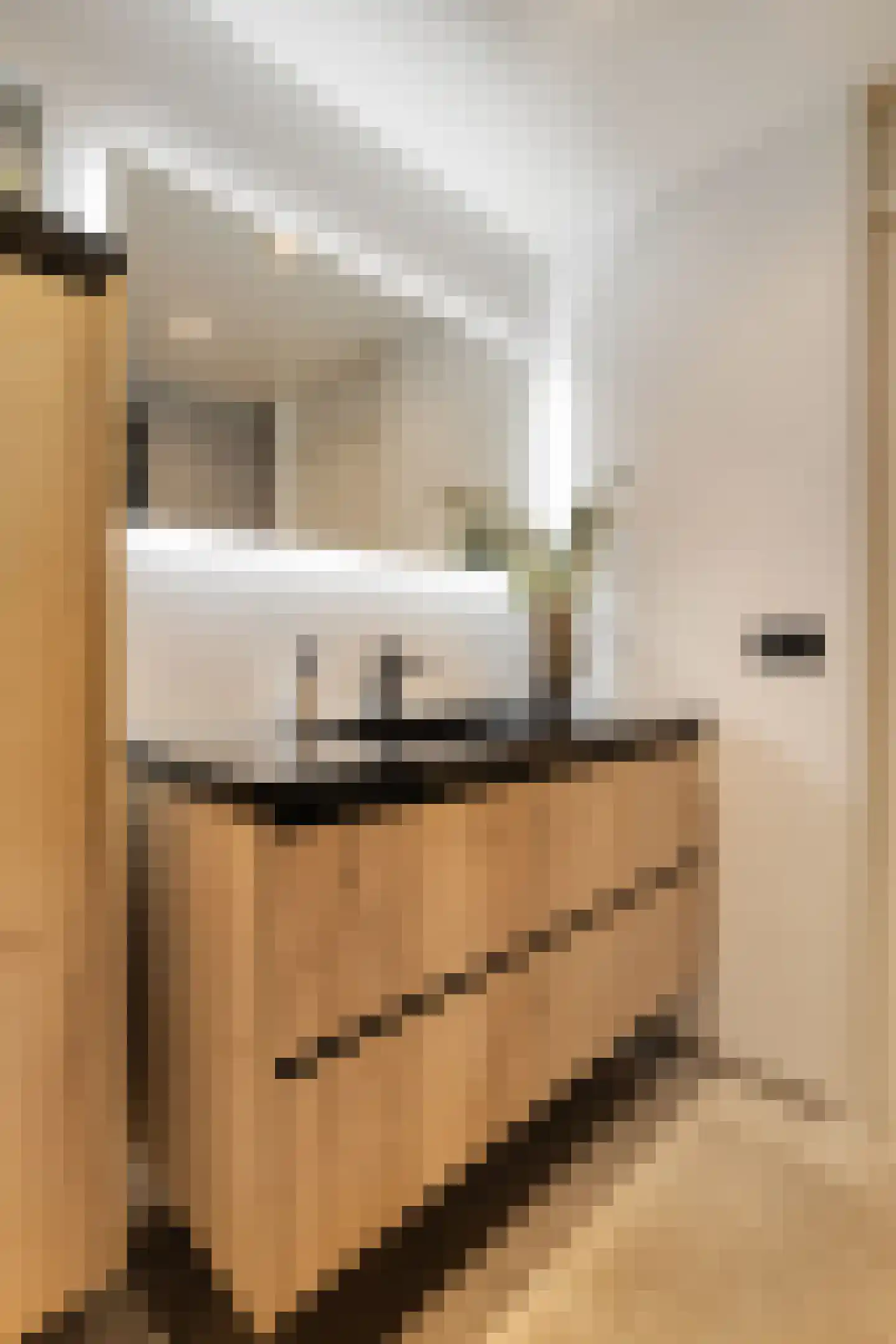 Rekemstraat 14 Maastricht thumbnail 17