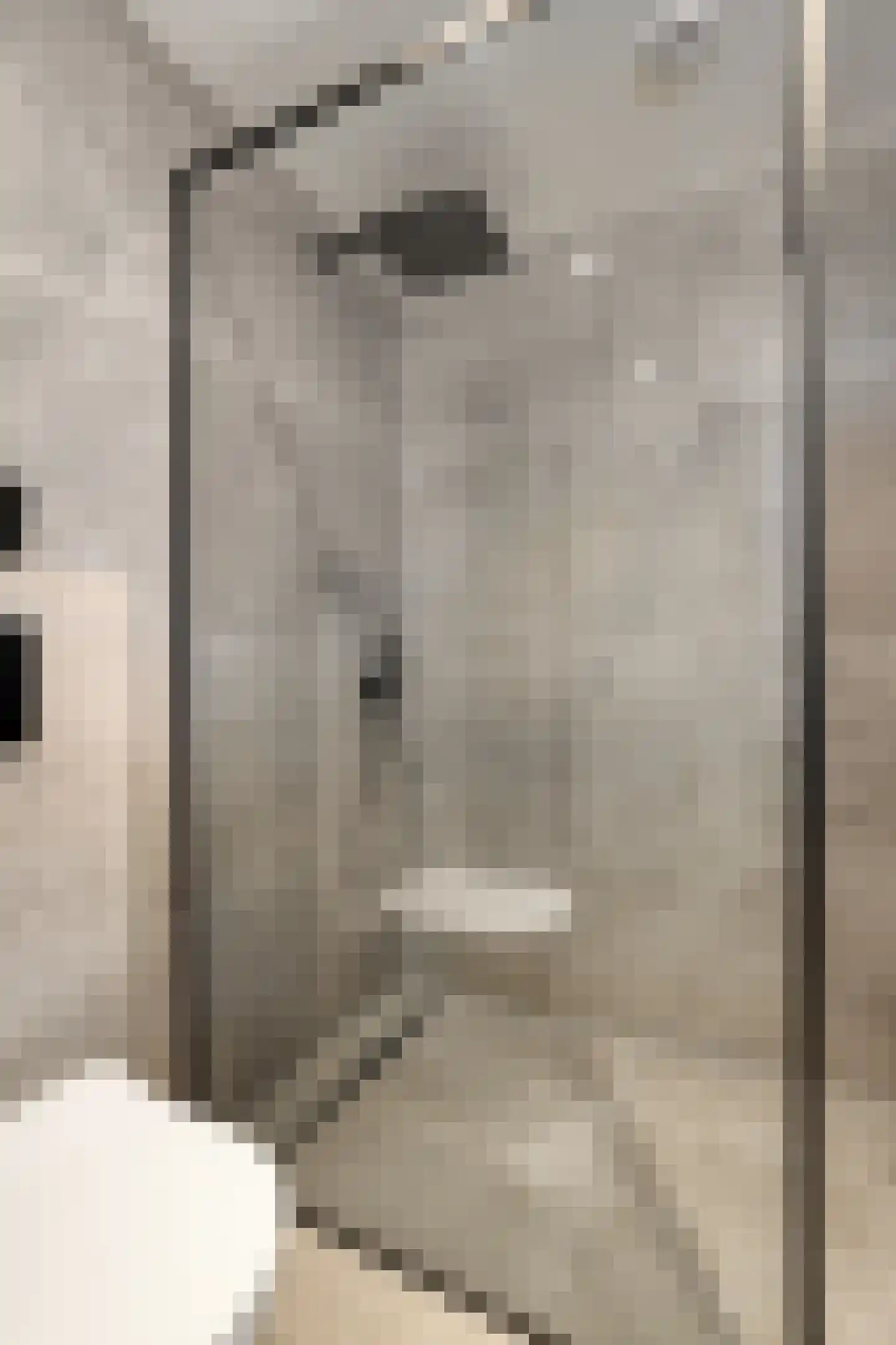 Rekemstraat 14 Maastricht thumbnail 19