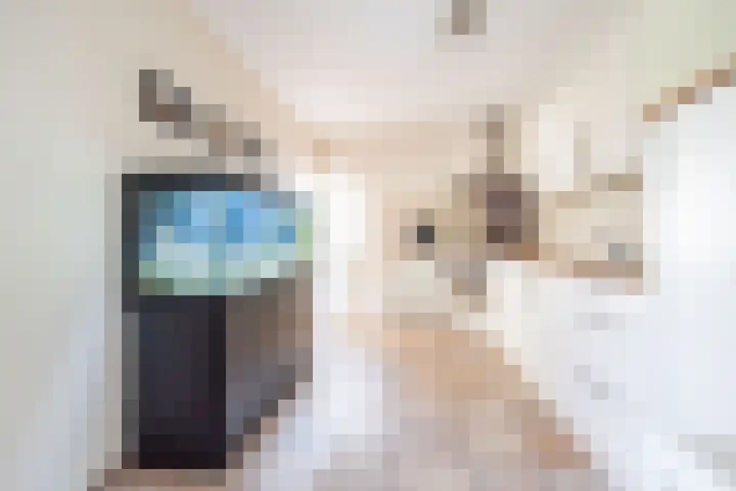 Rekenkamer 6 Megchelen thumbnail 15