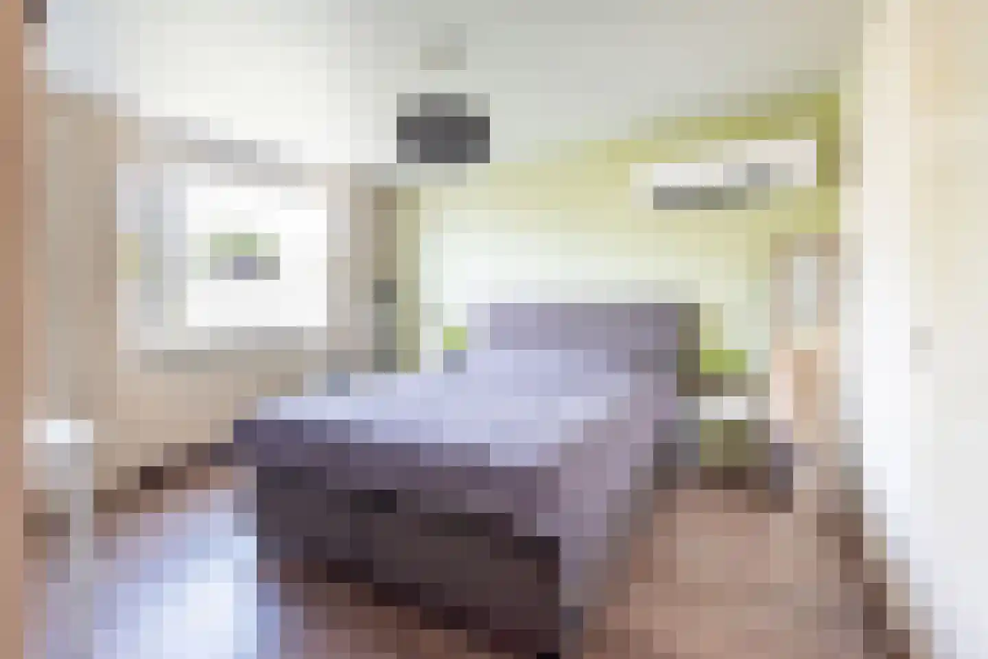 Rekenkamer 6 Megchelen thumbnail 20