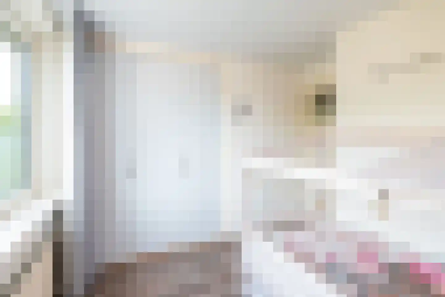 Rekenkamer 6 Megchelen thumbnail 28