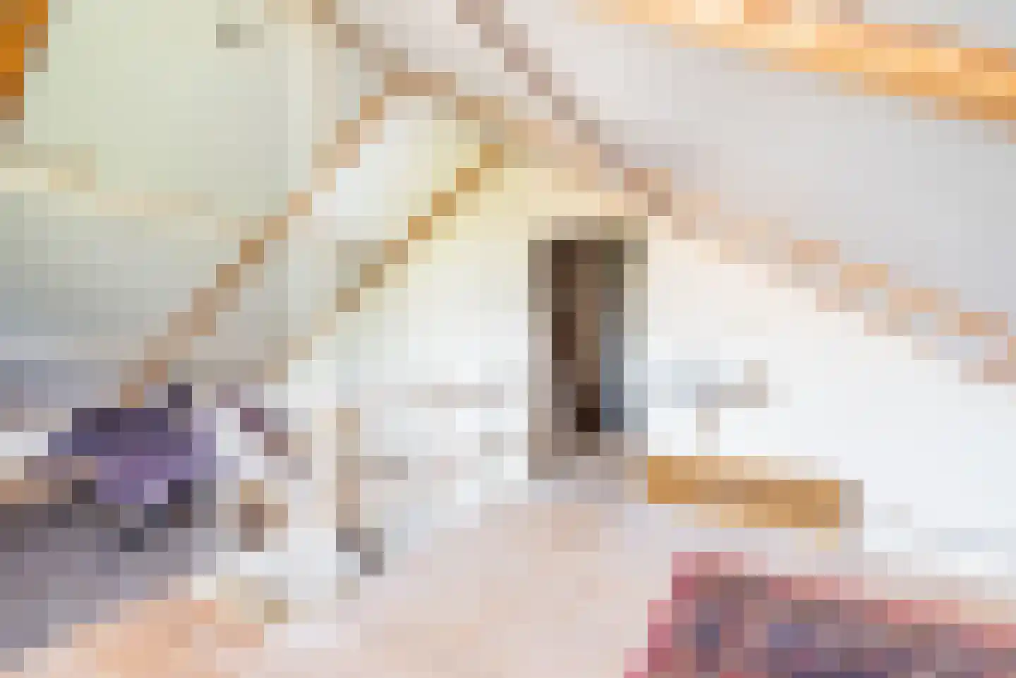 Rekenkamer 6 Megchelen thumbnail 31