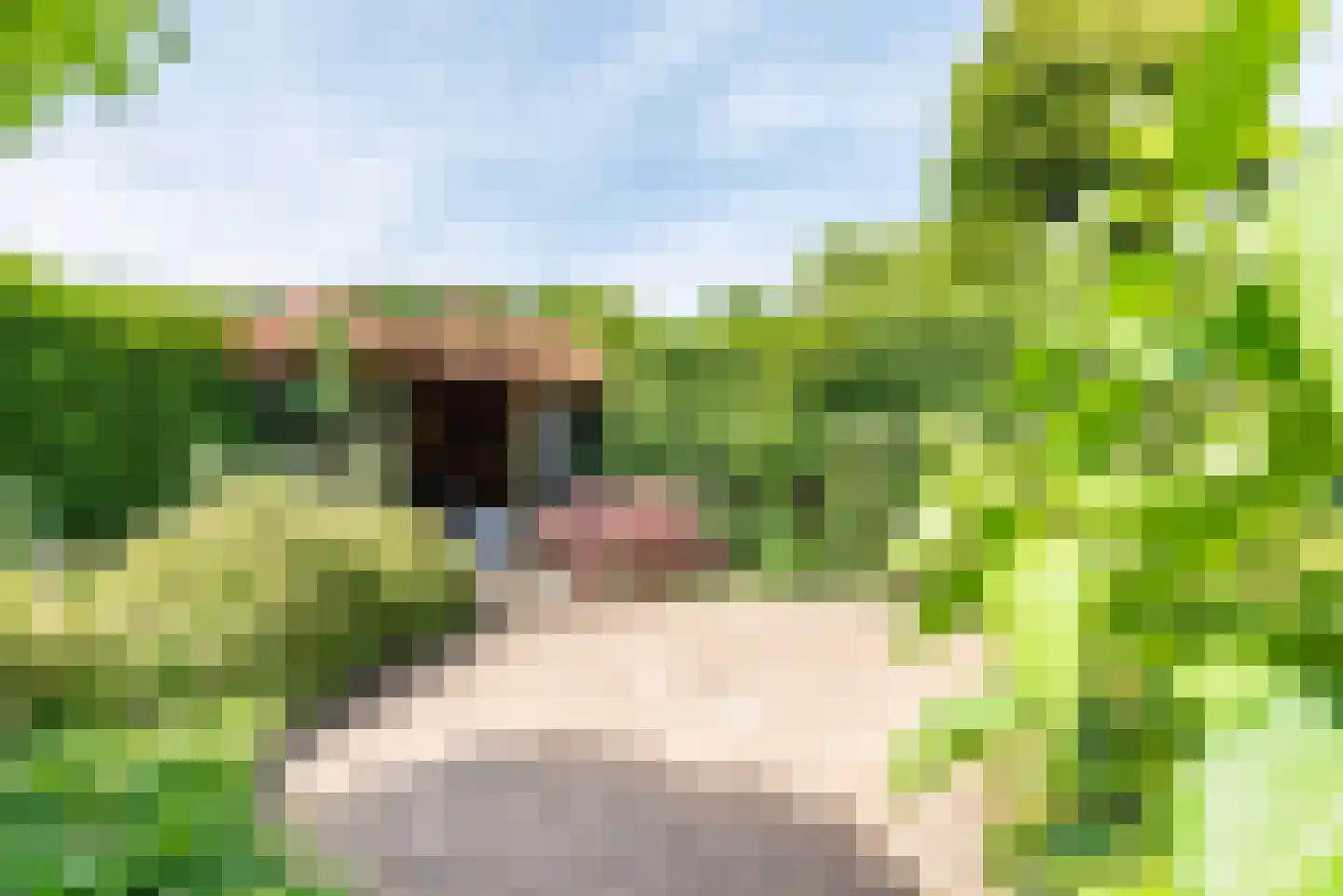 Rekenkamer 6 Megchelen thumbnail 40