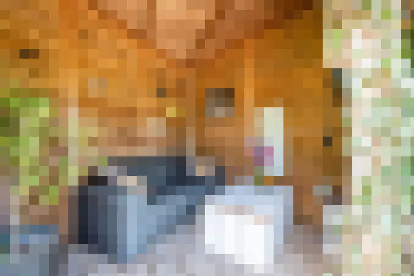 Rekenkamer 6 Megchelen thumbnail 41