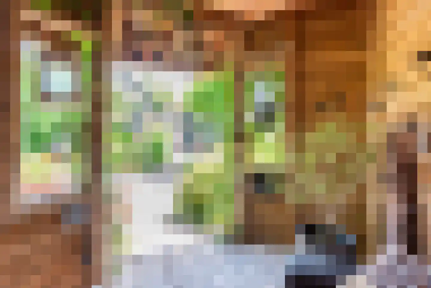 Rekenkamer 6 Megchelen thumbnail 42