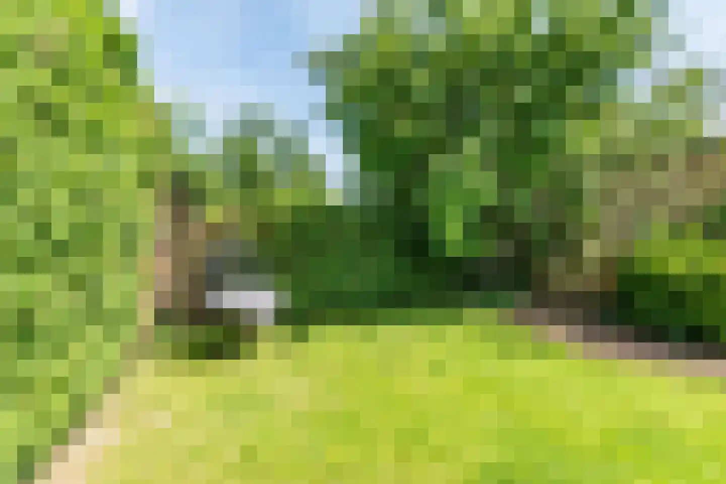 Rekenkamer 6 Megchelen thumbnail 44