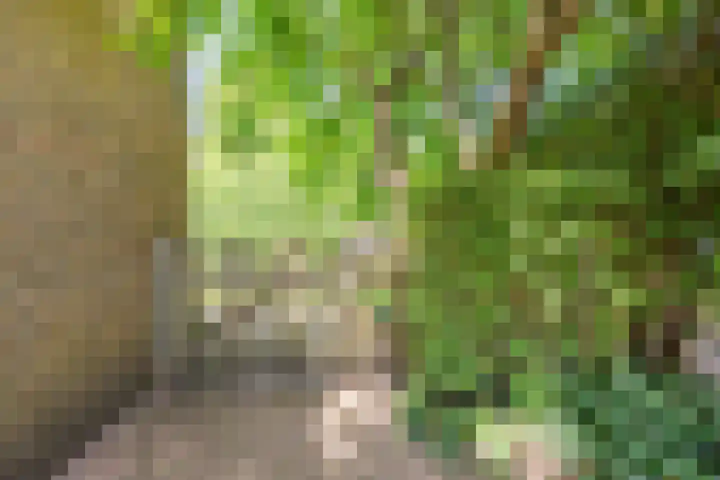 Rekenkamer 6 Megchelen thumbnail 45