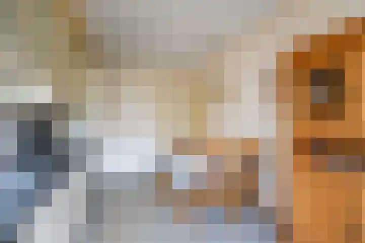 Rekenkamer 8 Megchelen thumbnail 13