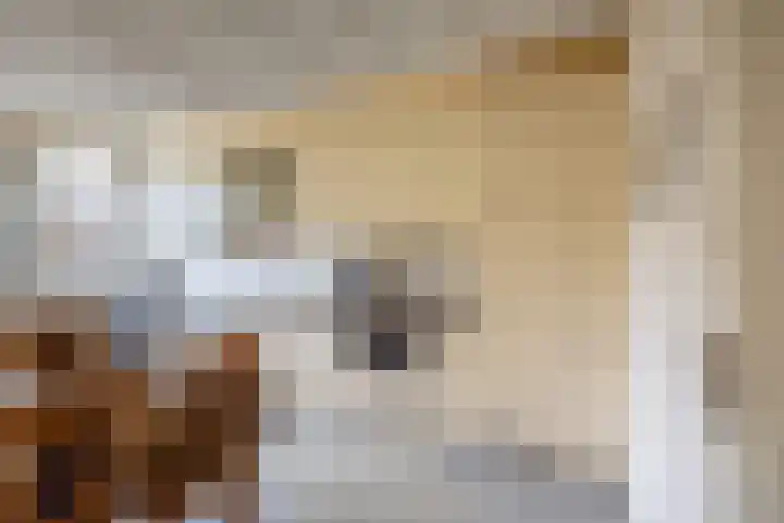 Rekenkamer 8 Megchelen thumbnail 14