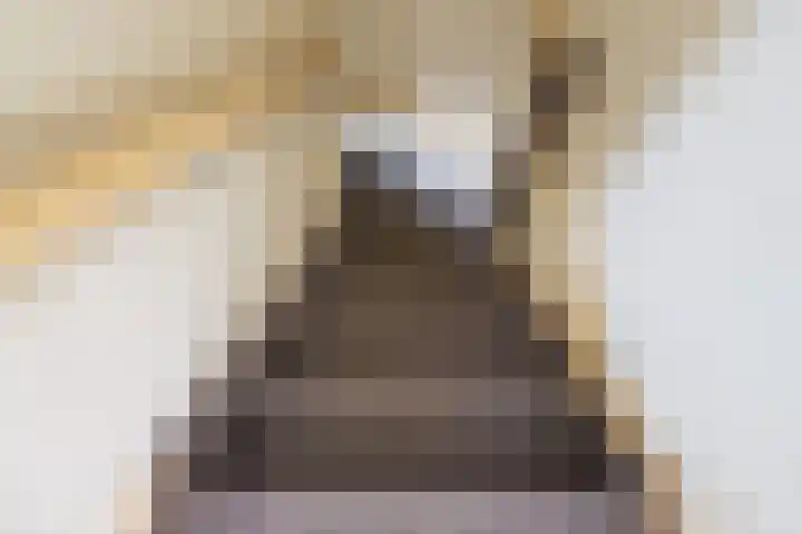 Rekenkamer 8 Megchelen thumbnail 16