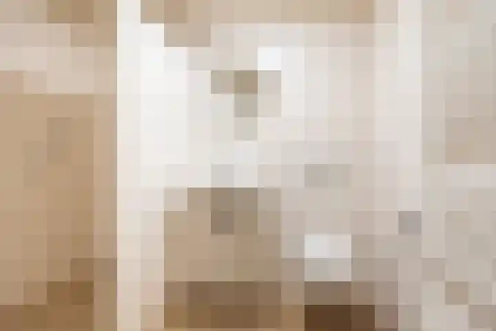 Rekenkamer 8 Megchelen thumbnail 20