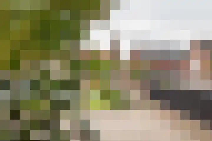 Rekenkamer 8 Megchelen thumbnail 24