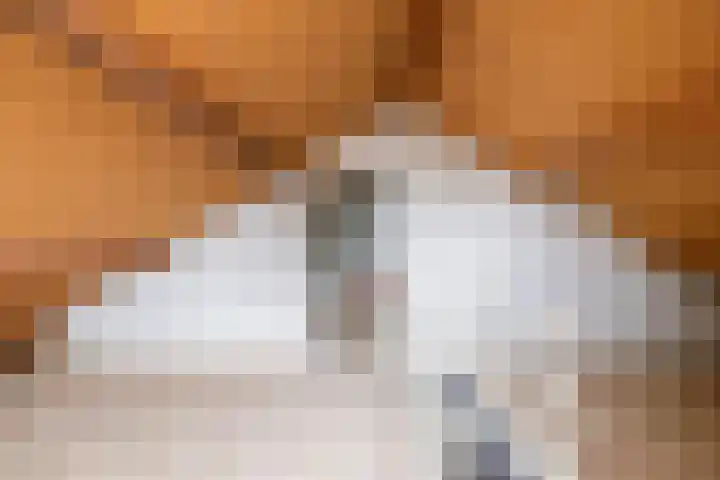 Rekenkamer 8 Megchelen thumbnail 31