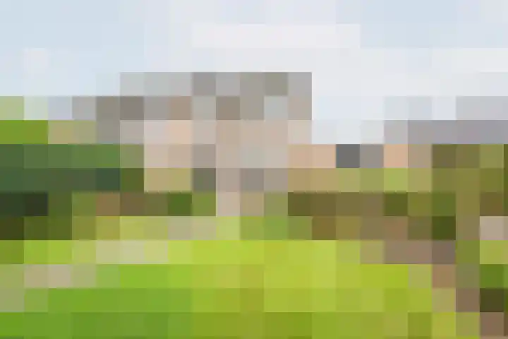 Rekenkamer 8 Megchelen thumbnail 33