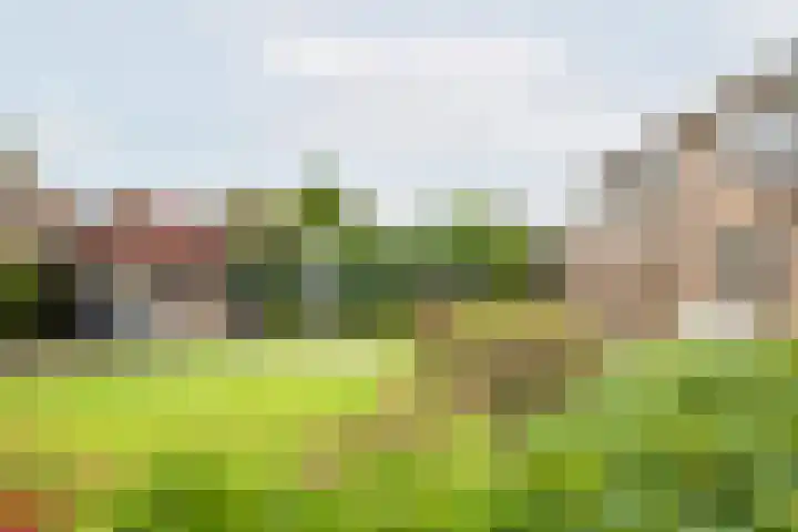 Rekenkamer 8 Megchelen thumbnail 34
