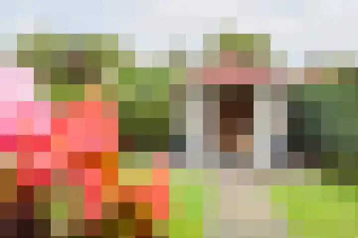 Rekenkamer 8 Megchelen thumbnail 35