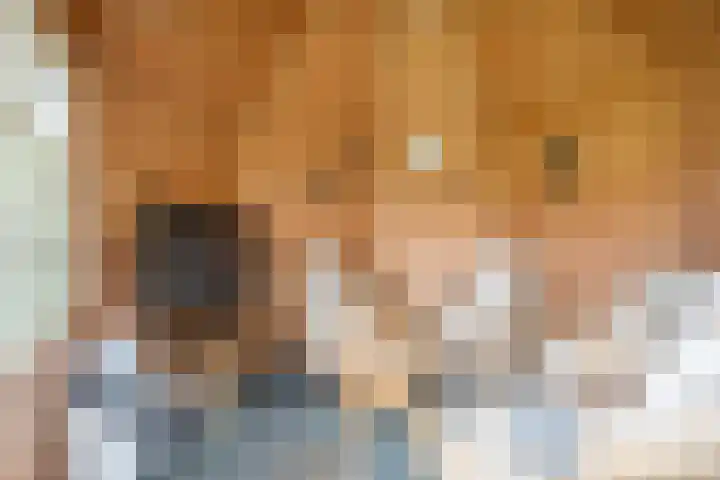 Rekenkamer 8 Megchelen thumbnail 36