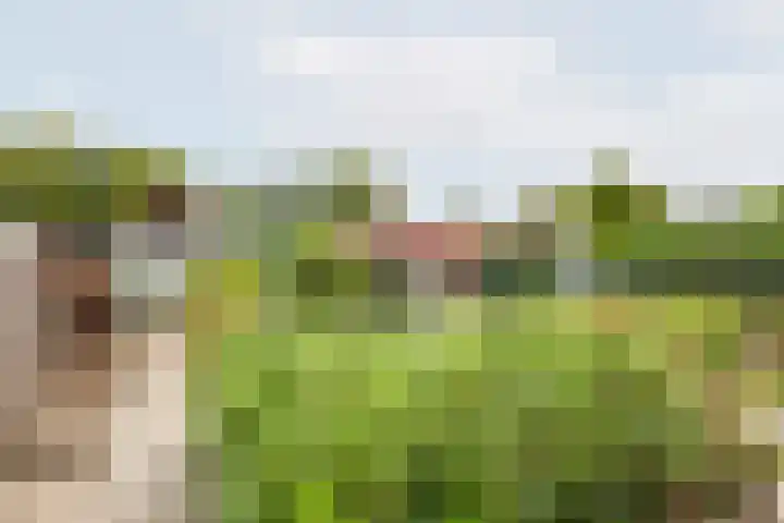 Rekenkamer 8 Megchelen thumbnail 38