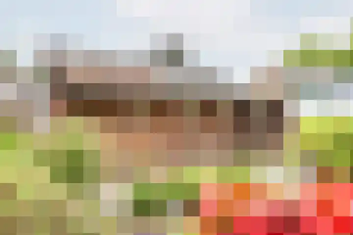 Rekenkamer 8 Megchelen thumbnail 39