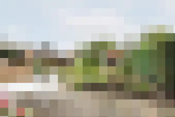 Rekenkamer 8 Megchelen thumbnail 4