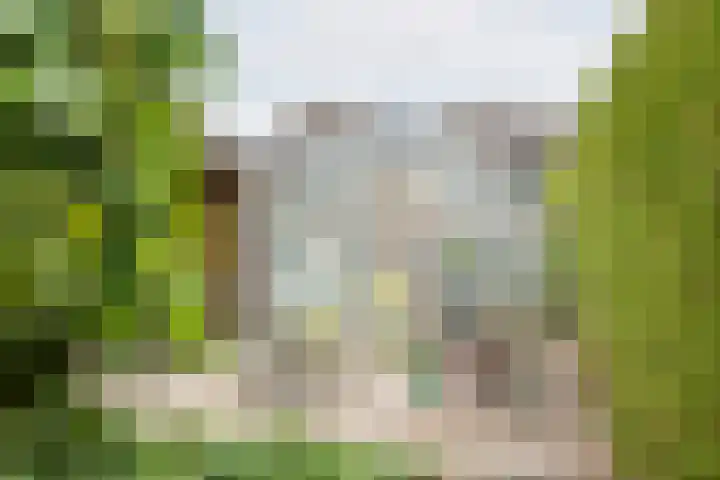 Rekenkamer 8 Megchelen thumbnail 40