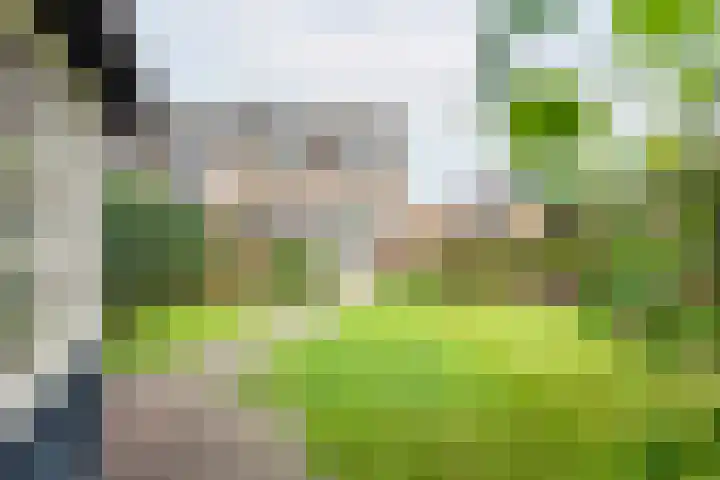 Rekenkamer 8 Megchelen thumbnail 41