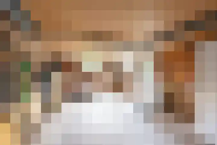 Rekenkamer 8 Megchelen thumbnail 44
