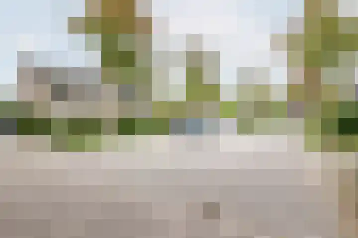 Rekenkamer 8 Megchelen thumbnail 47