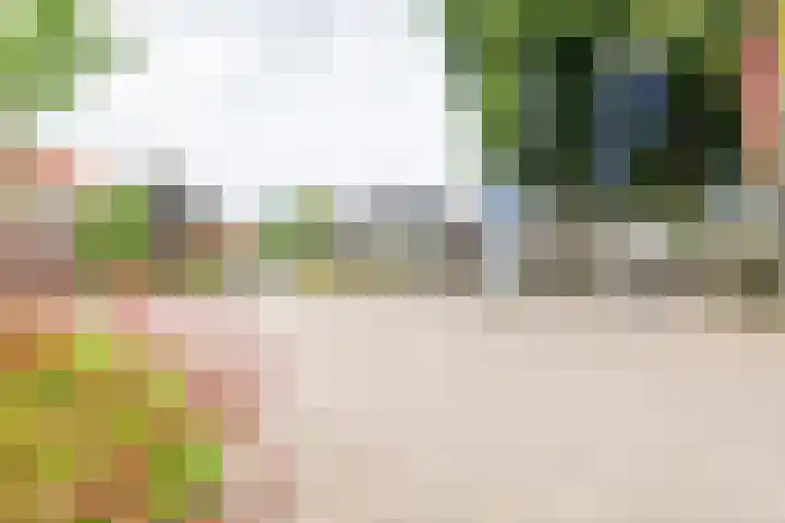 Rekenkamer 8 Megchelen thumbnail 48