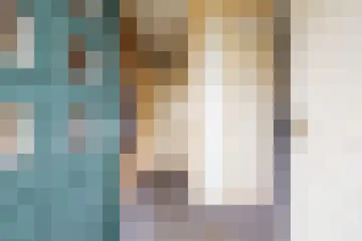 Rekenkamer 8 Megchelen thumbnail 7