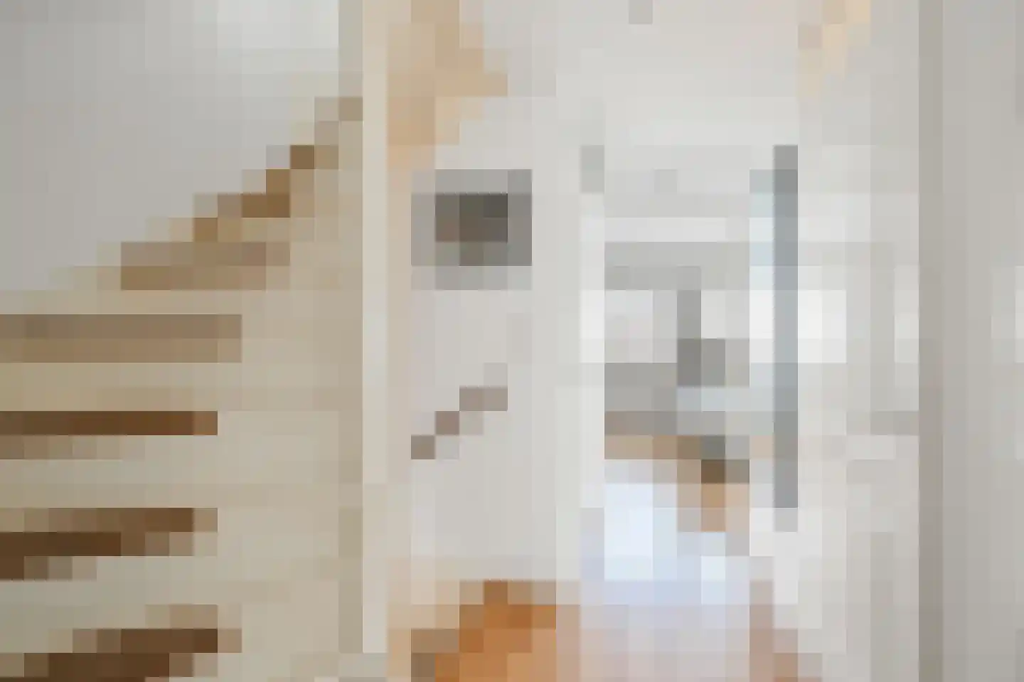 Rekenmeester 37 Assendelft thumbnail 12
